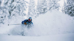 Skier skiing between the trees with snow at Wolf Creek in Colorado