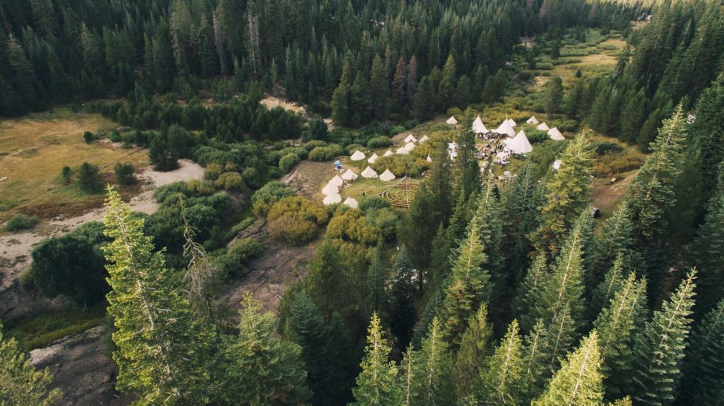 forest glamping tents from Shelter Co.