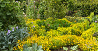 Potager Vegetable and Flower Garden in England