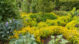 Potager Vegetable and Flower Garden in England
