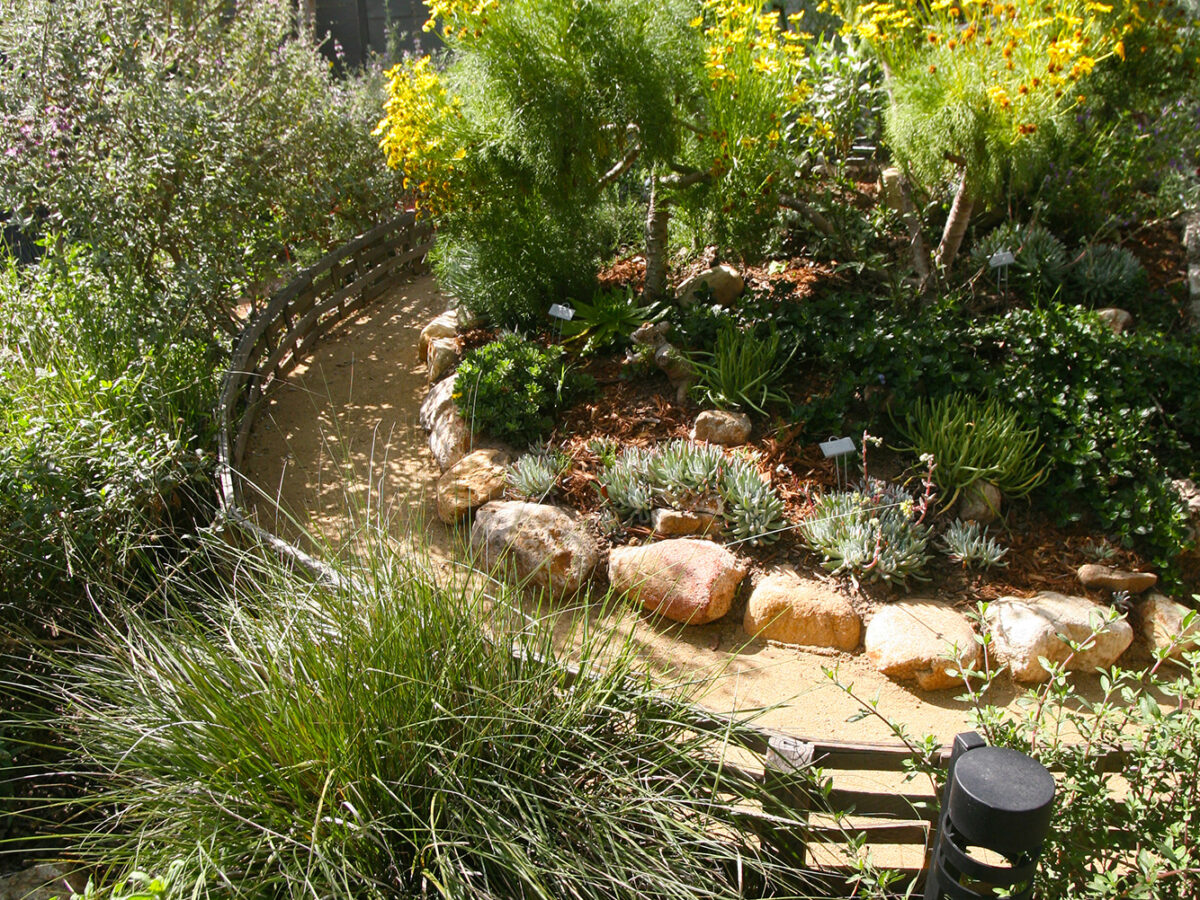 フラワー・ガーデニング Sample Vinca- Set of 3 Metal Flowers, 18