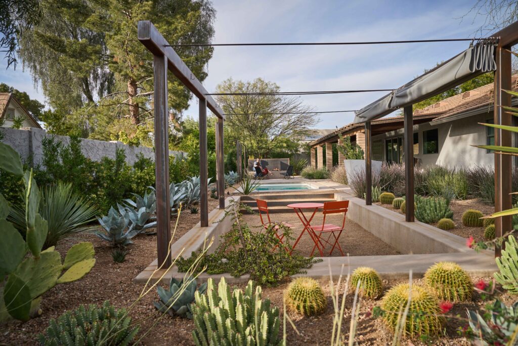 Garden with Texture and Variety