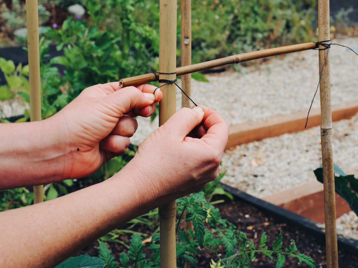 Bamboo Panel Trellis with Lashing Knot