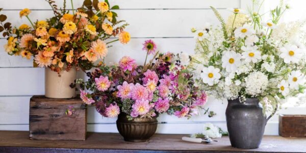 Here’s How to Shop for Flowers at Trader Joe’s, According to a Garden Editor