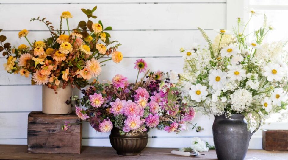 Here's How to Shop for Flowers at Trader Joe's, According to a Garden Editor