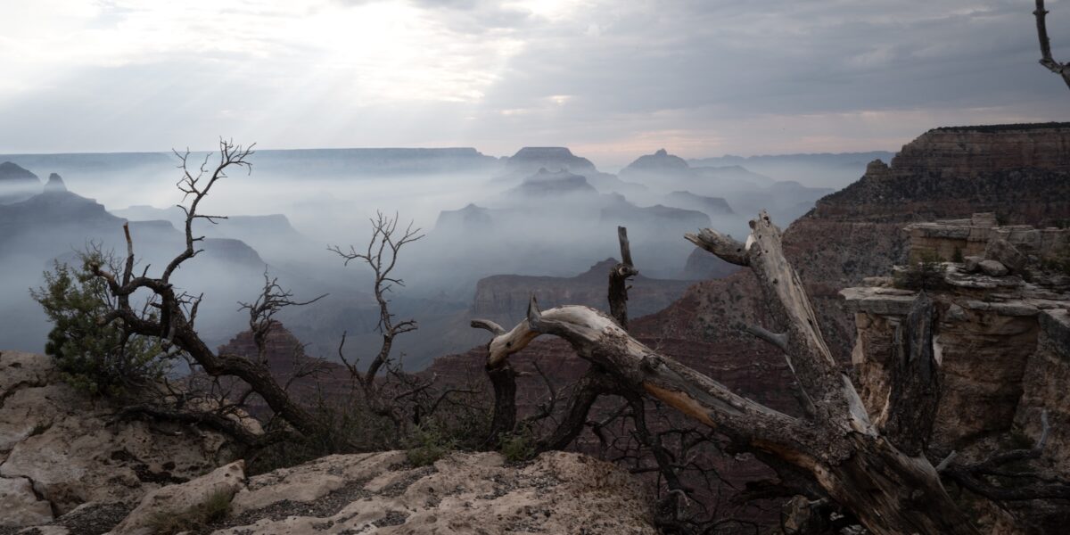 The Raging Megafire in One of the National Parks Has Grown to the Largest in the Country