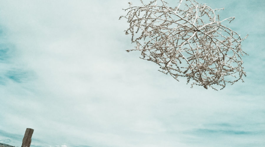 Monster Tumbleweeds Are Trapping People in Cars and Homes - Sunset