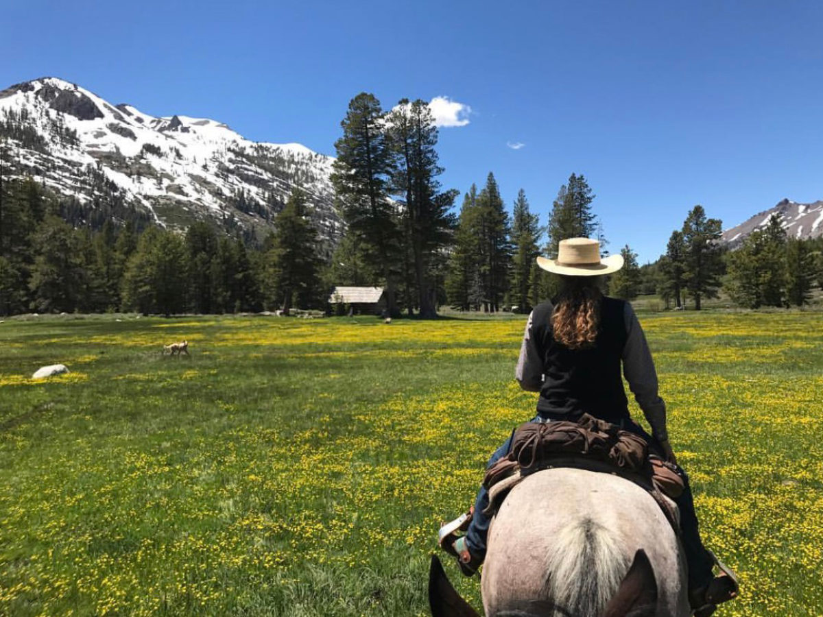 Yosemite Horseback Riding