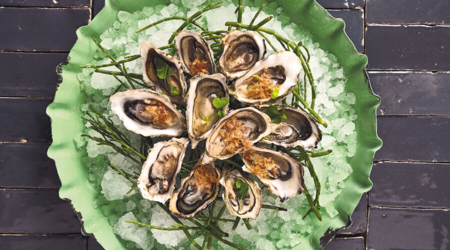 Turtle Island West-Coast Oysters