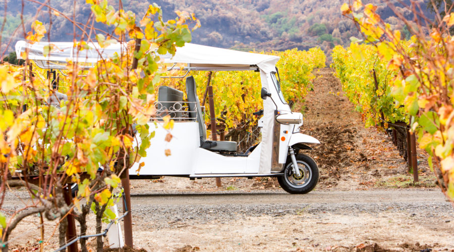 Tuk-tuk riding through the vineyards on a California wine country tour with Lace and Limos