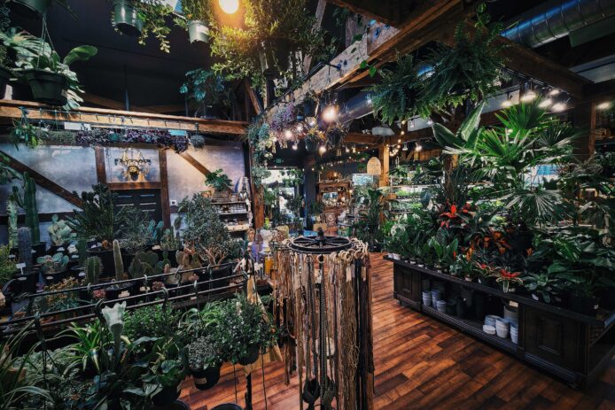 Interior of Somewhere Thats Green