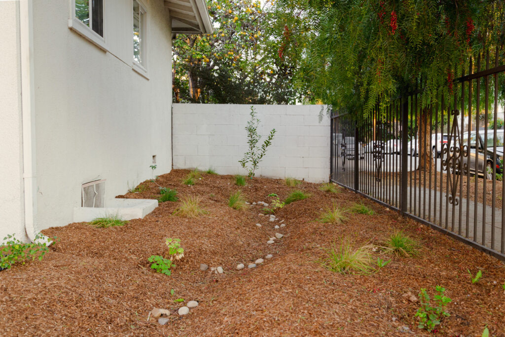 Urban Farms LA Rain Garden in Mid City