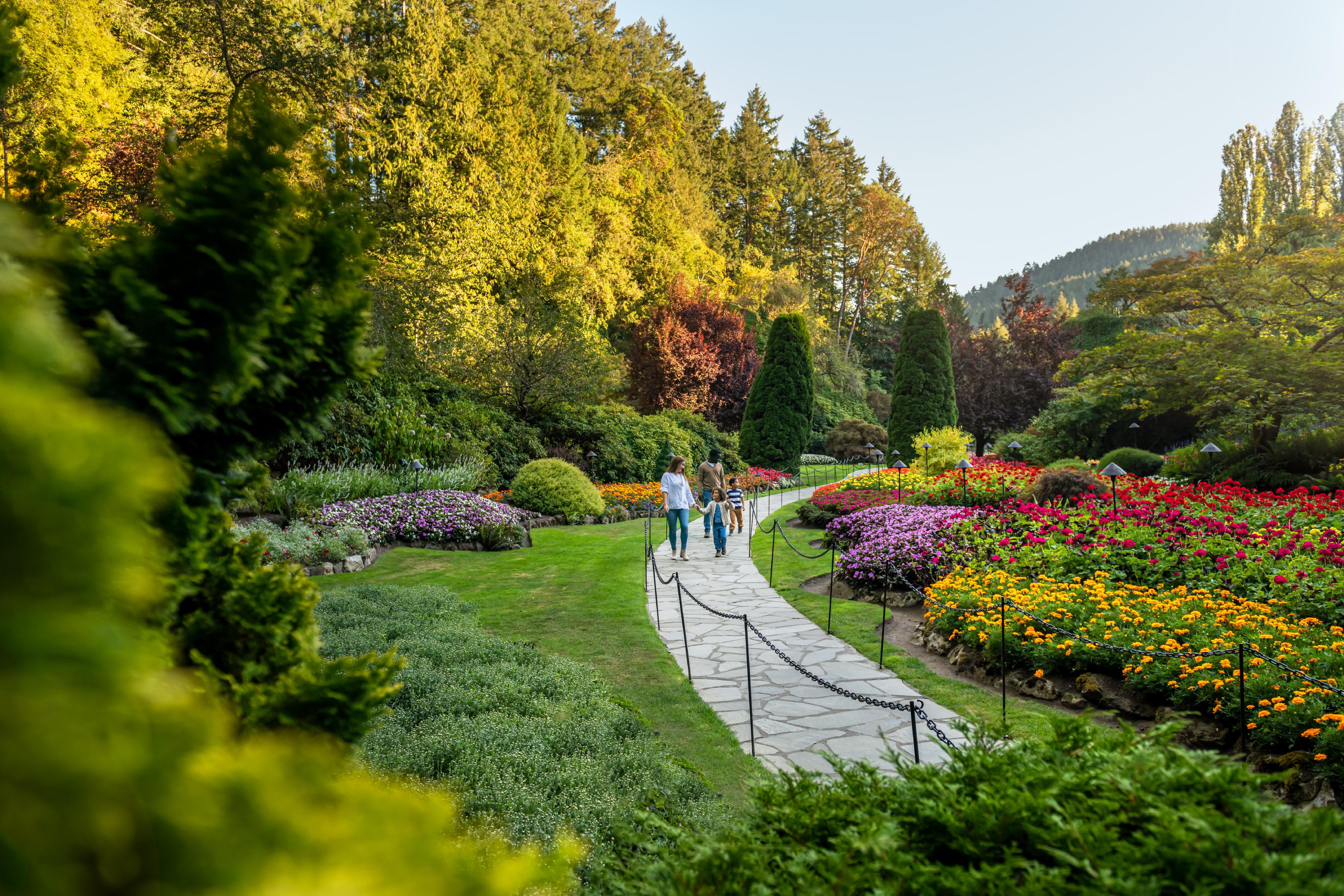 butchart-gardens