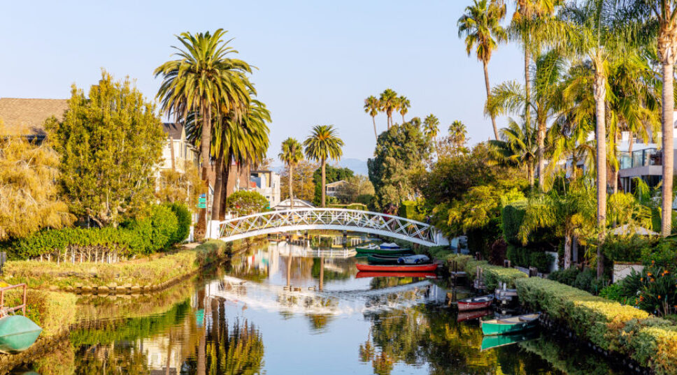 Where to Get Your Wellness on in Venice, California