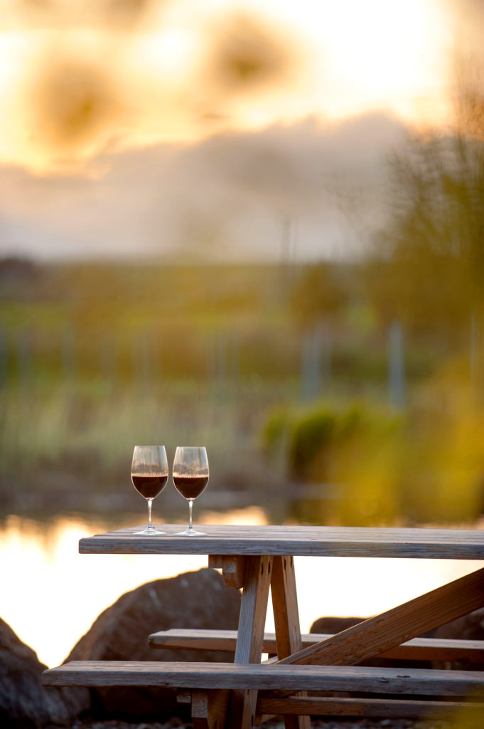 Wine Glasses on a Picnic Table