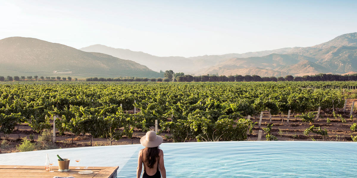 Woman in a pool overlooking the vineyards and hills in Baja, Mexico