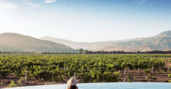 Woman in a pool overlooking the vineyards and hills in Baja, Mexico