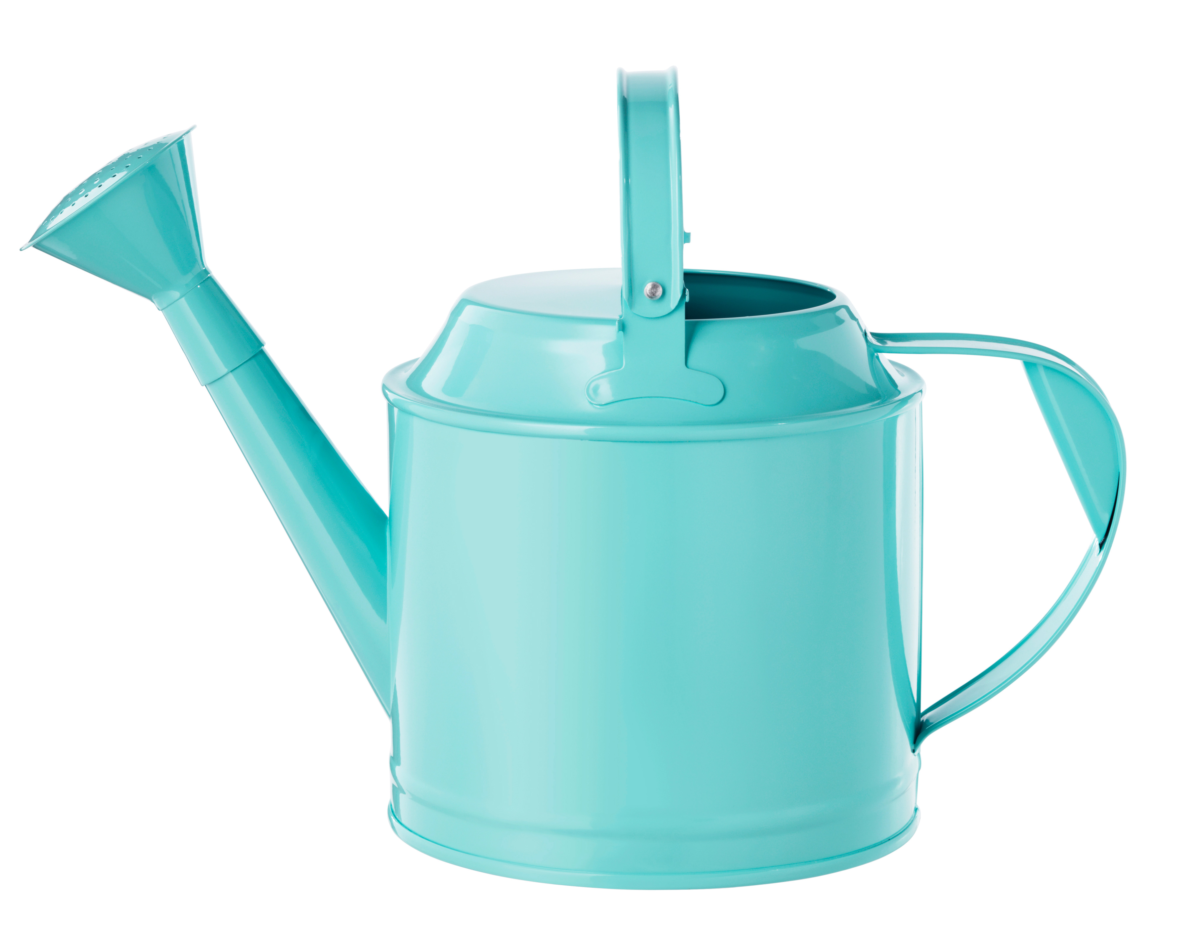 SuperChic Small Watering Cans Sunset Magazine