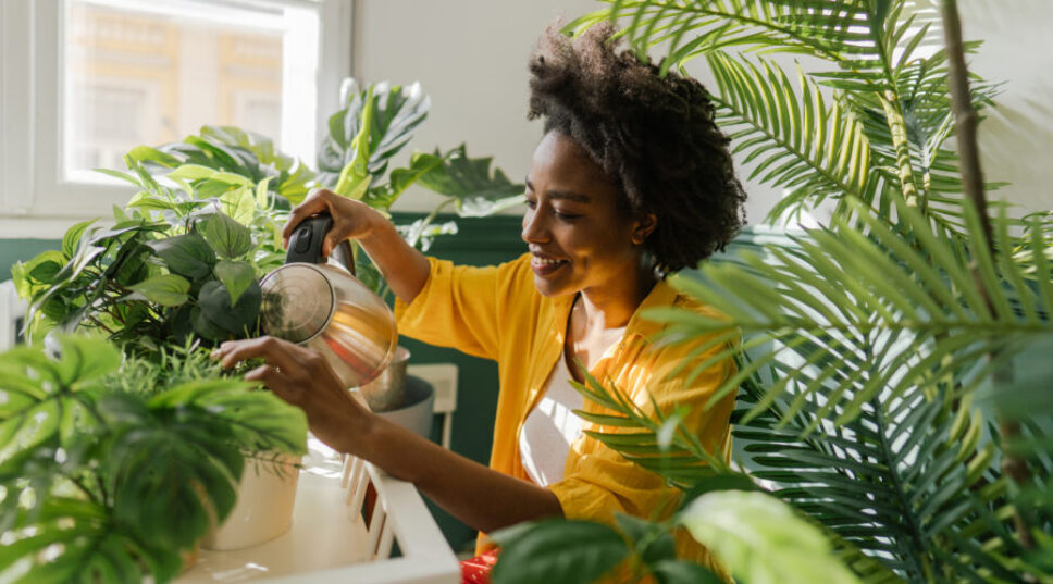 These Are the Best Beginner-Friendly Houseplants—No Green Thumb Required