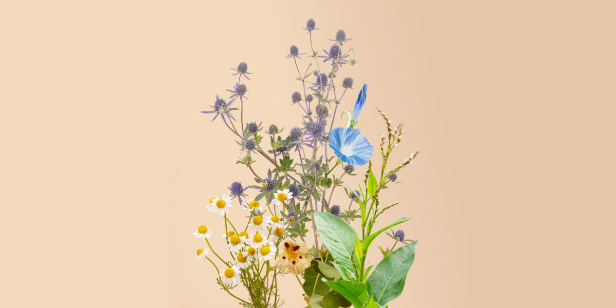 Millennial flower kit from Plantgem