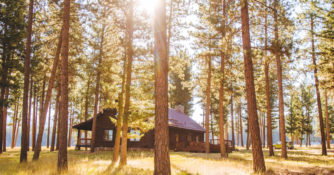 exterior trees surround a cabin with sun breaking through