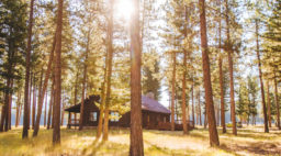 exterior trees surround a cabin with sun breaking through