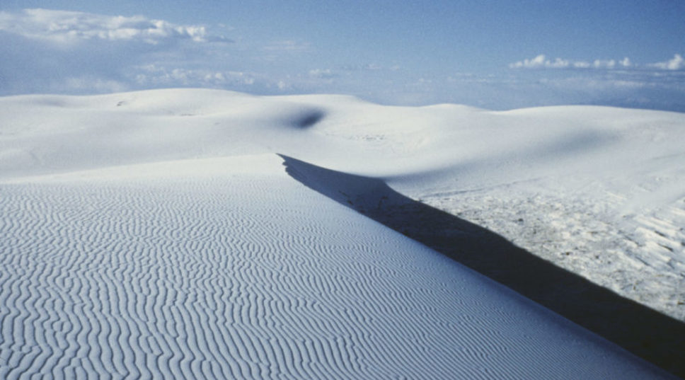 Sand Sledding, Desert Flowers, and Perseid Showers: All the Beautifully Surreal Things to Do in White Sands National Park