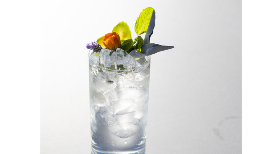 In Bloom gin cocktail