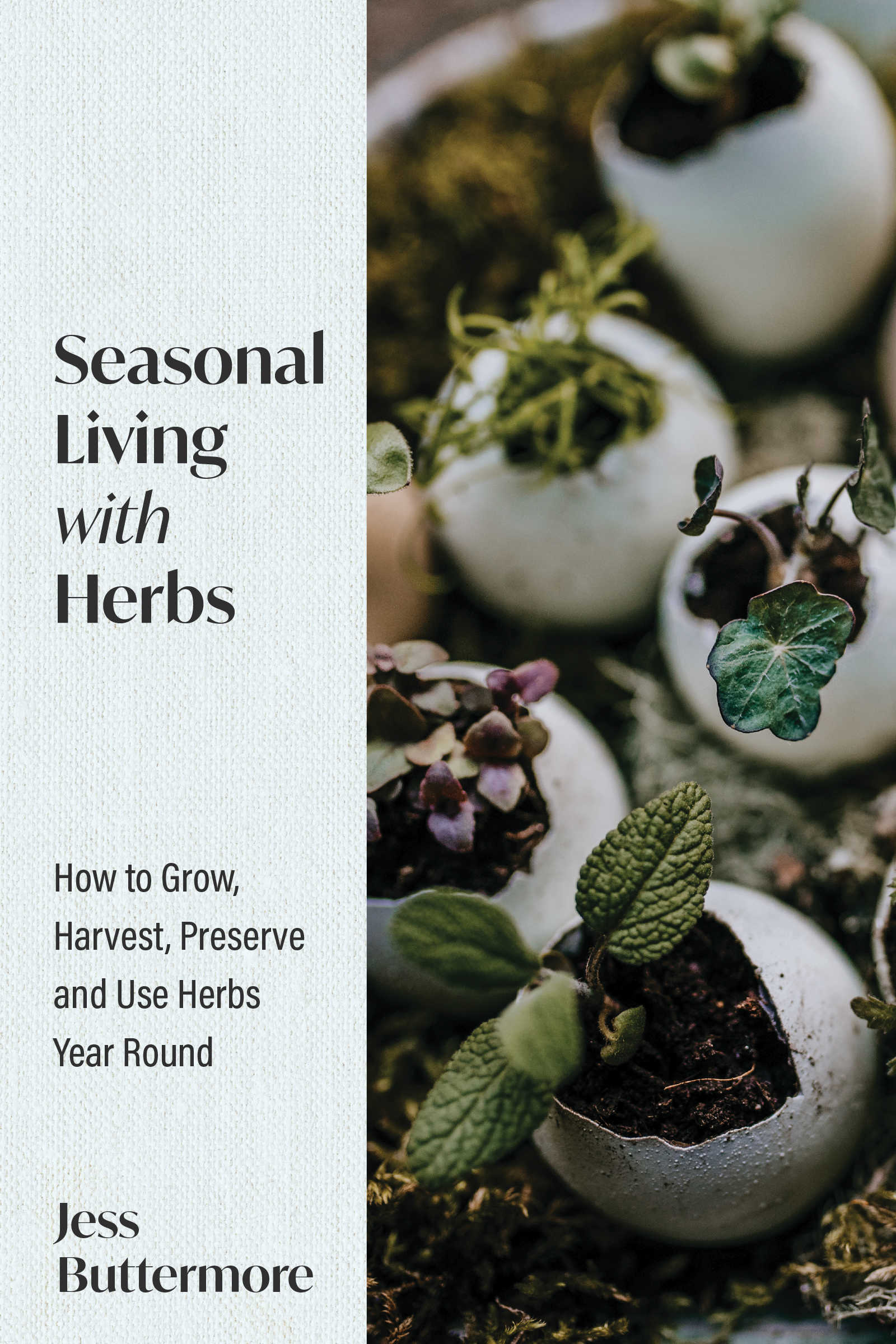 Seasonal Living with Herbs Cover