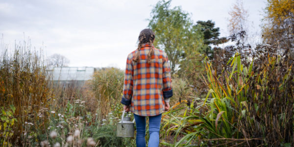 7 Things You Need to Do in Your Vegetable Garden This Winter Before It’s Too Late
