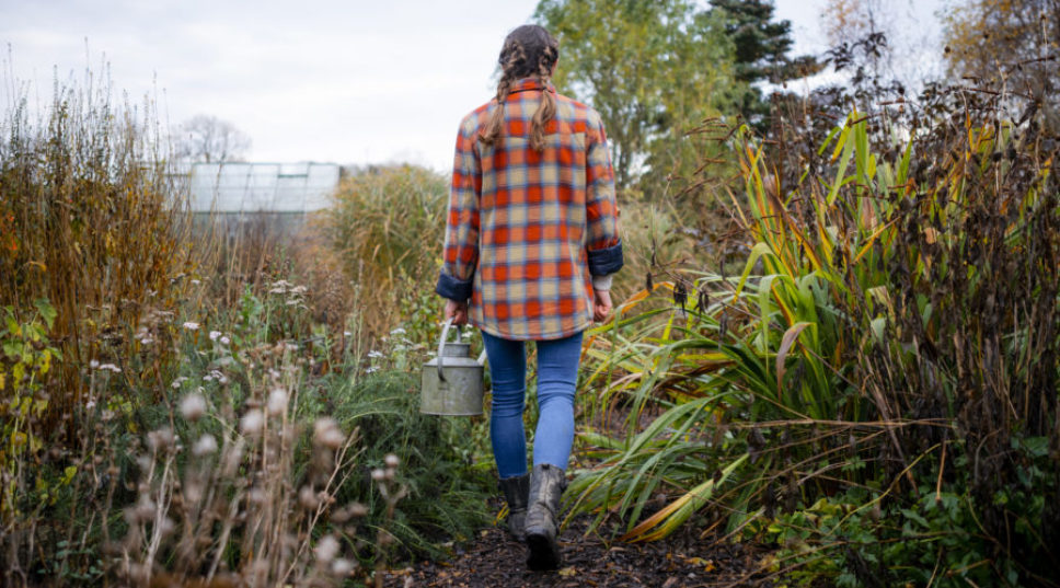 7 Things You Need to Do in Your Vegetable Garden This Winter Before It's Too Late
