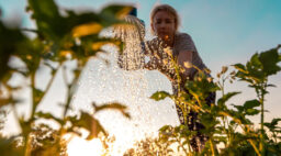 Woman Watering Plants
