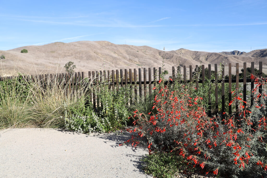 Wooden Slat Fence Morami Studio