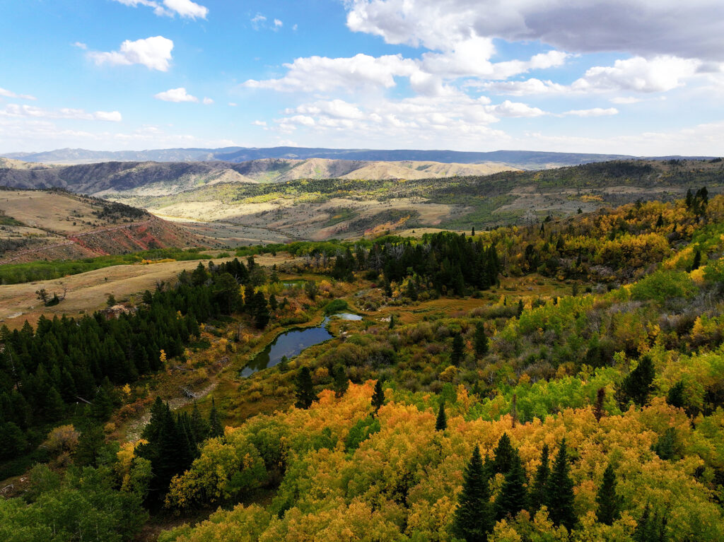 Wyoming Fall Color