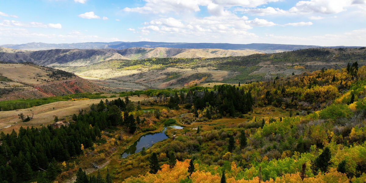 Wyoming Fall Color