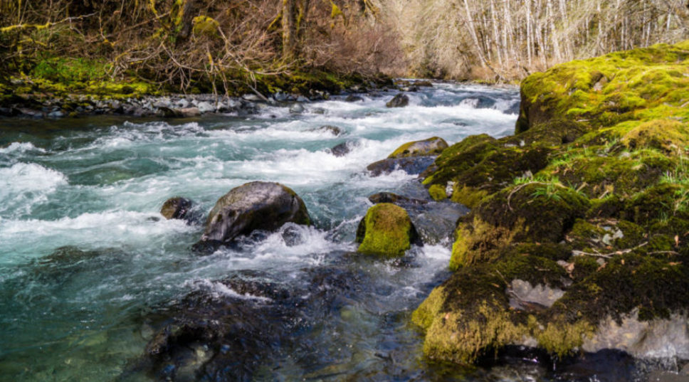 Chill out Now with These Soothing Nature Videos from Yeti