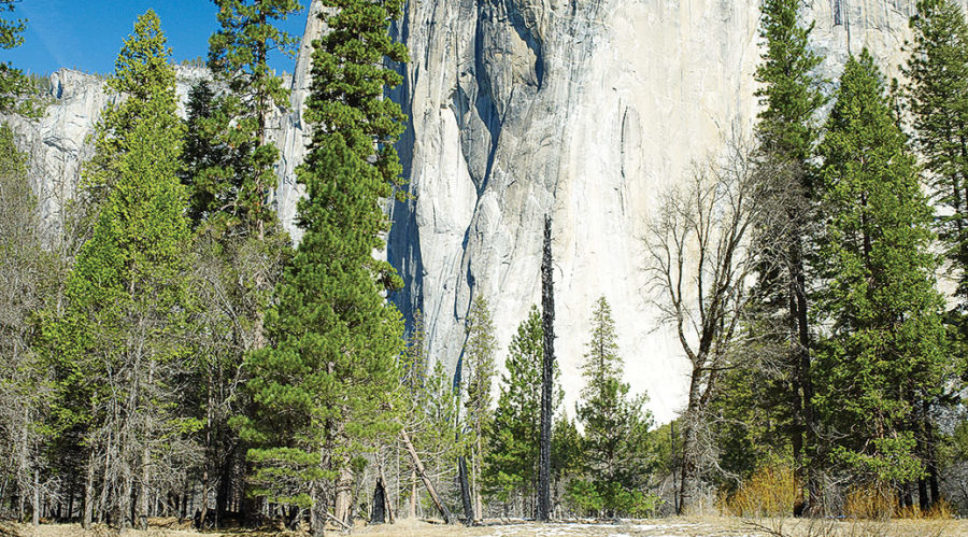 Don’t Miss the Adventure Doc of the Year, Free Solo