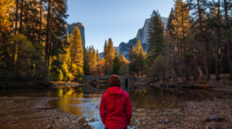 Hiker taking in the fall color in Yosemite National Park