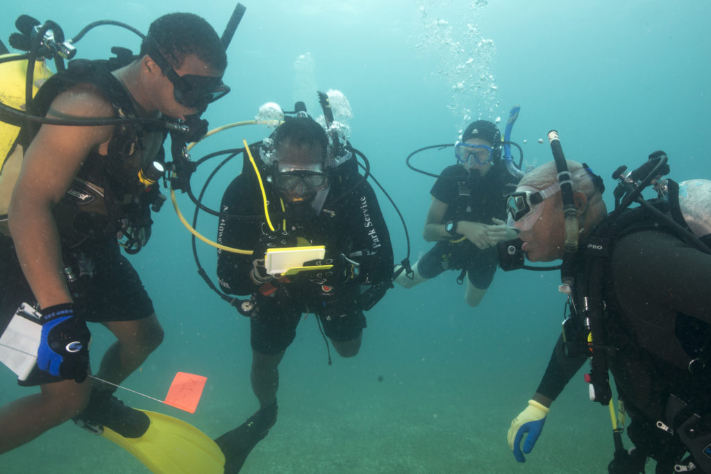 scuba divers underwater with gear on