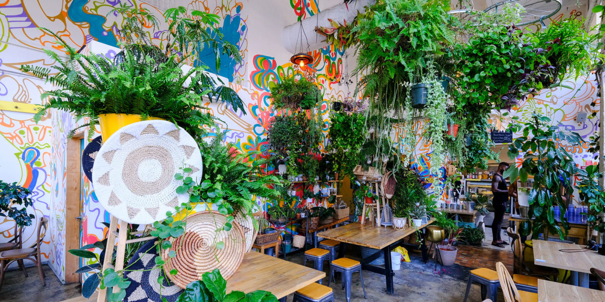 These 2024 Gen Z Garden Trends Are Wild - Vimarsana News
